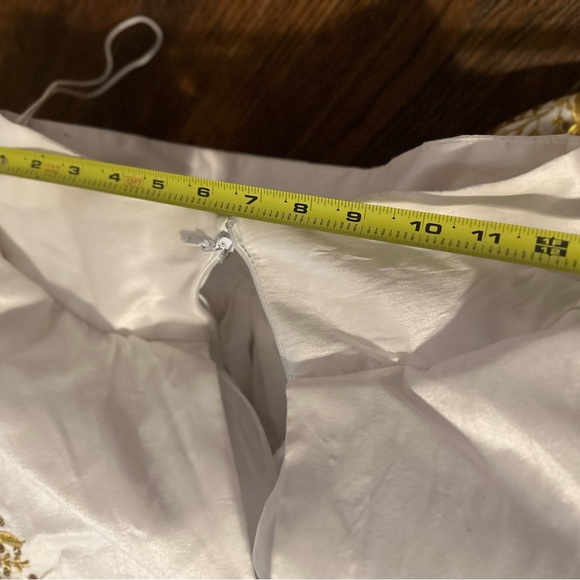 Quinceañera Adán Terriquez Additional Pictures Dress & Train Detail - Picture 13 of 17